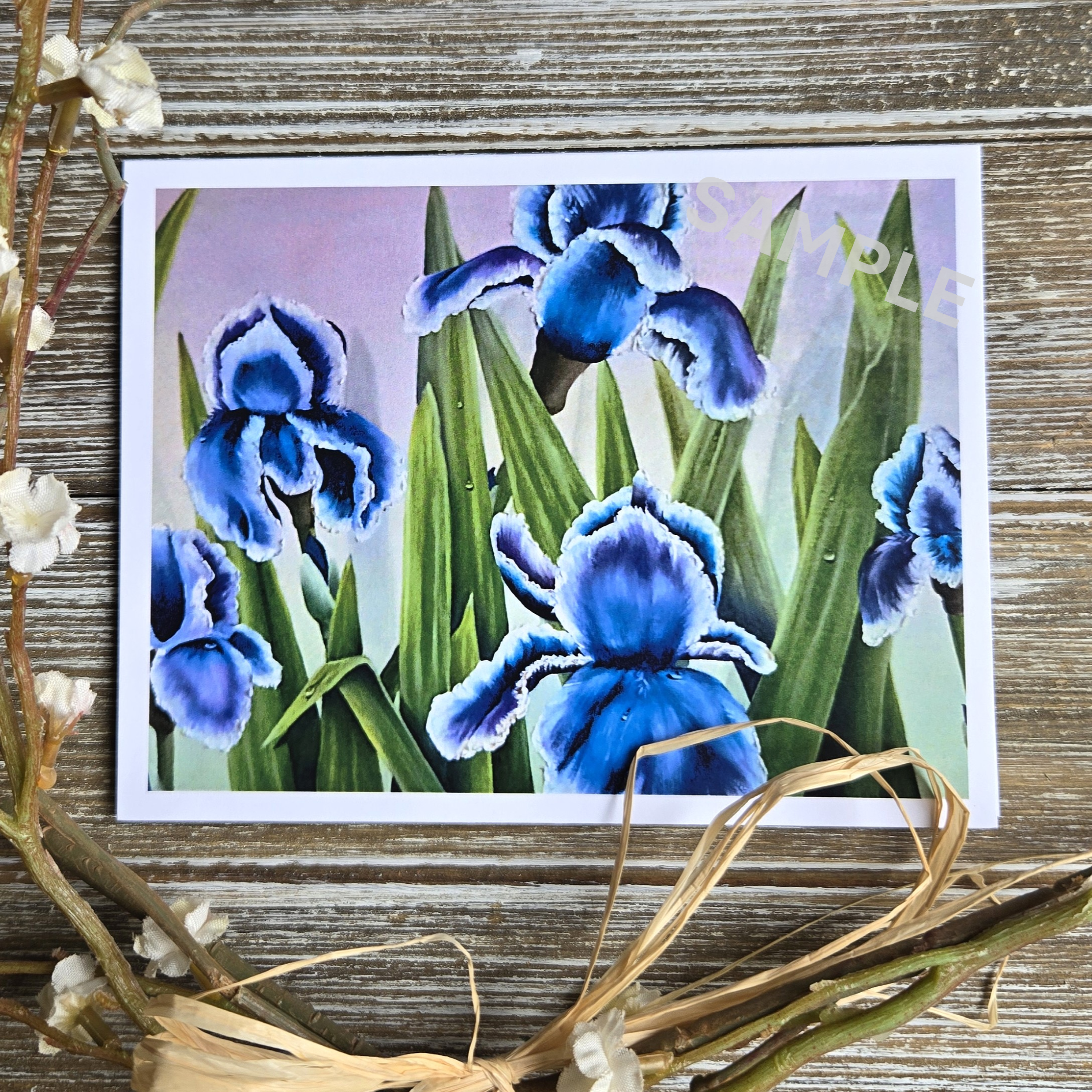 Complete Garden Greeting Cards