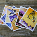 Faith Flowers Greeting Card Bundle