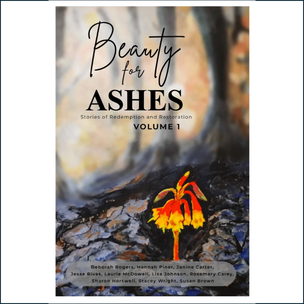 Beauty For Ashes Book Volume 1