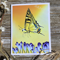Butterfly & Crocuses