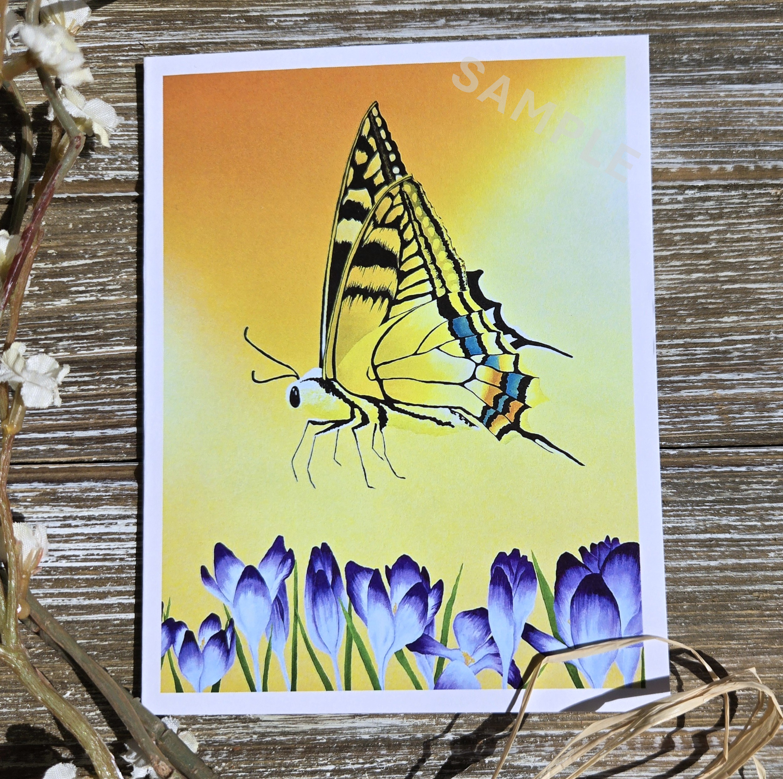 Butterfly & Crocuses