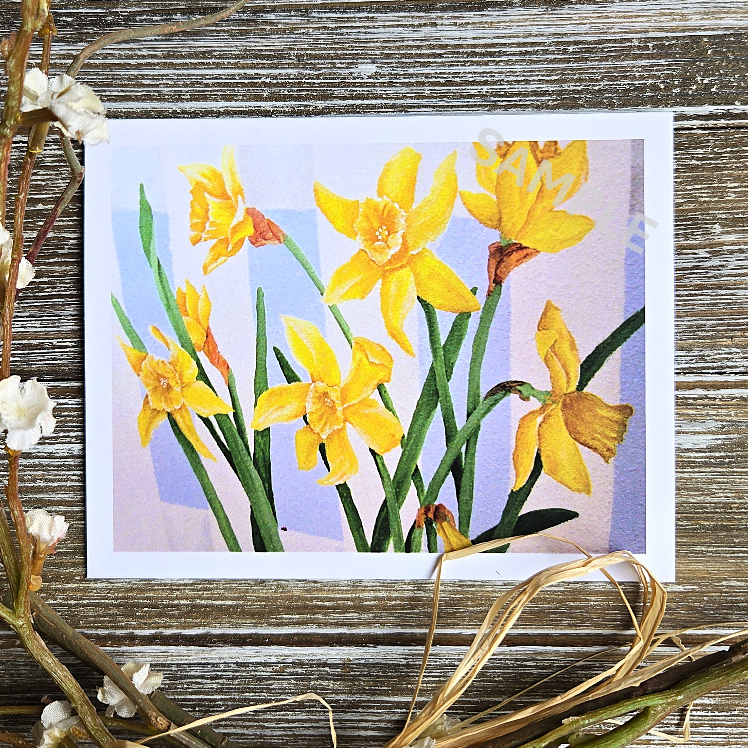 Daffodils
