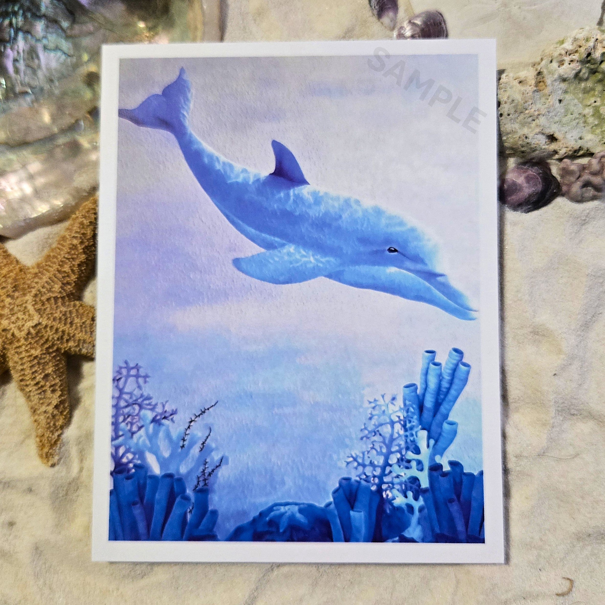 Dolphin