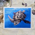 Honu