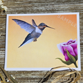 Hummingbird
