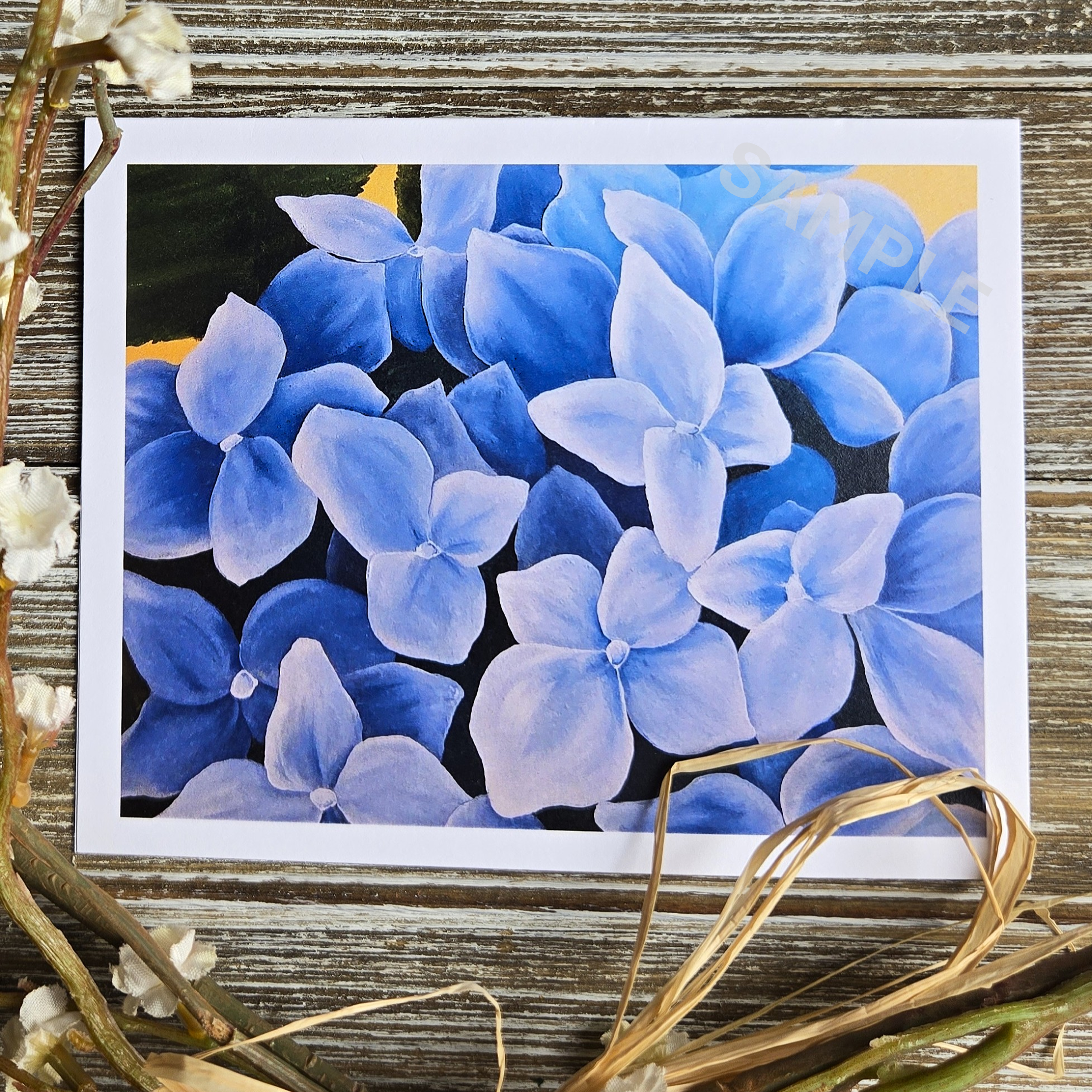 Hydrangea