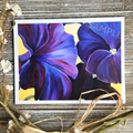 Petunias