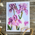 Purple Irises