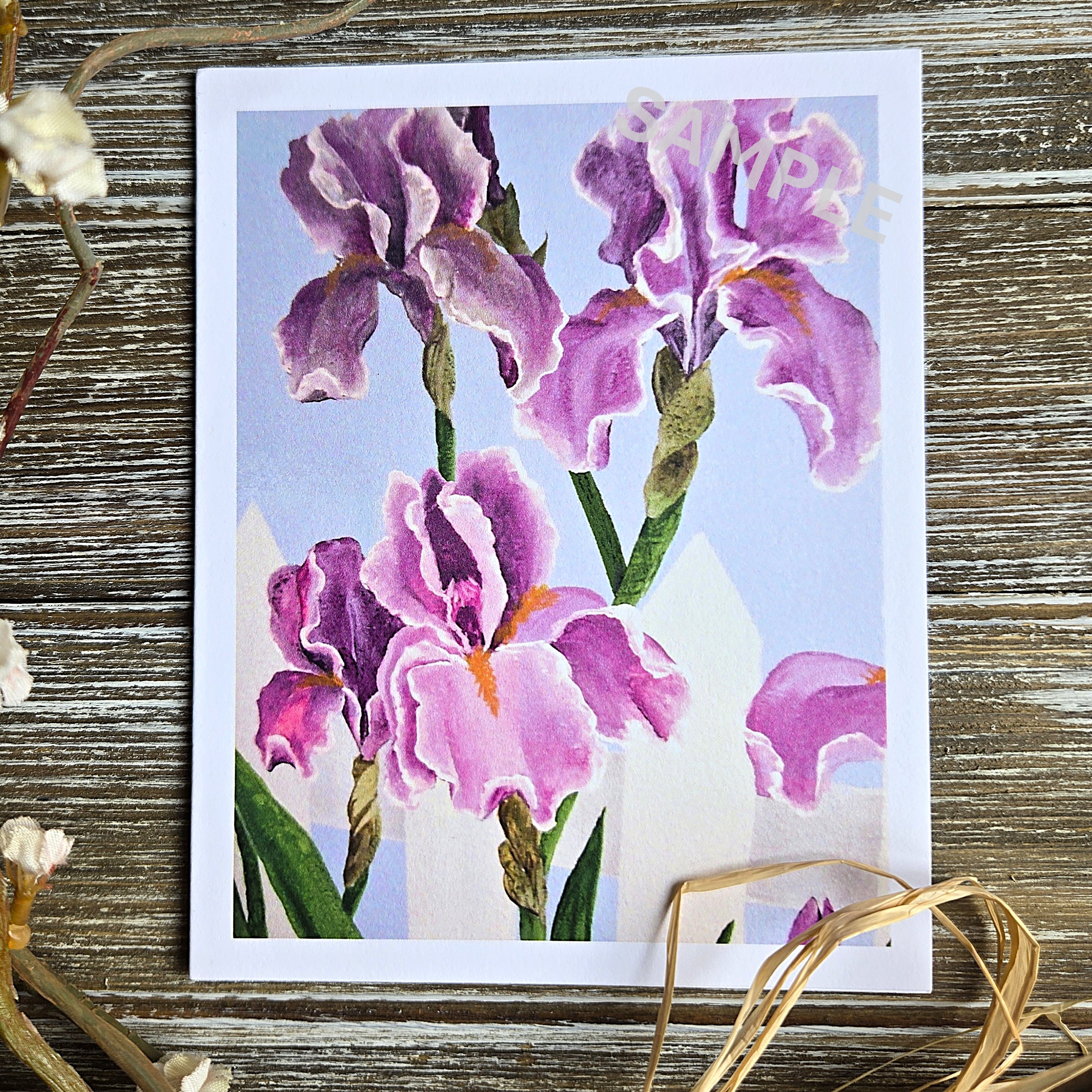 Purple Irises