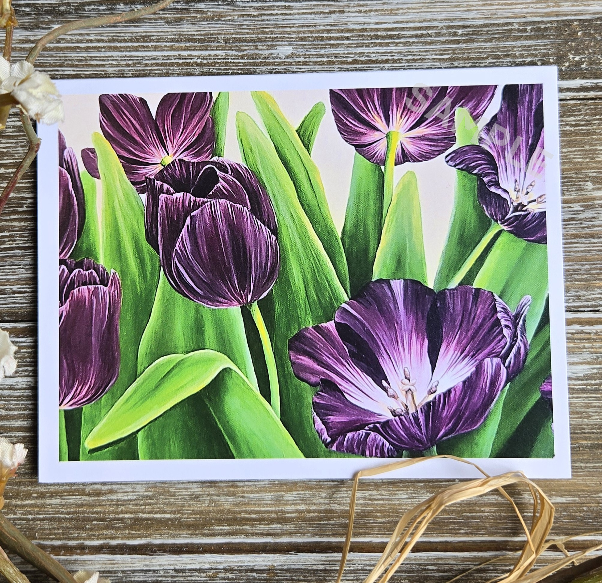 Purple Tulips