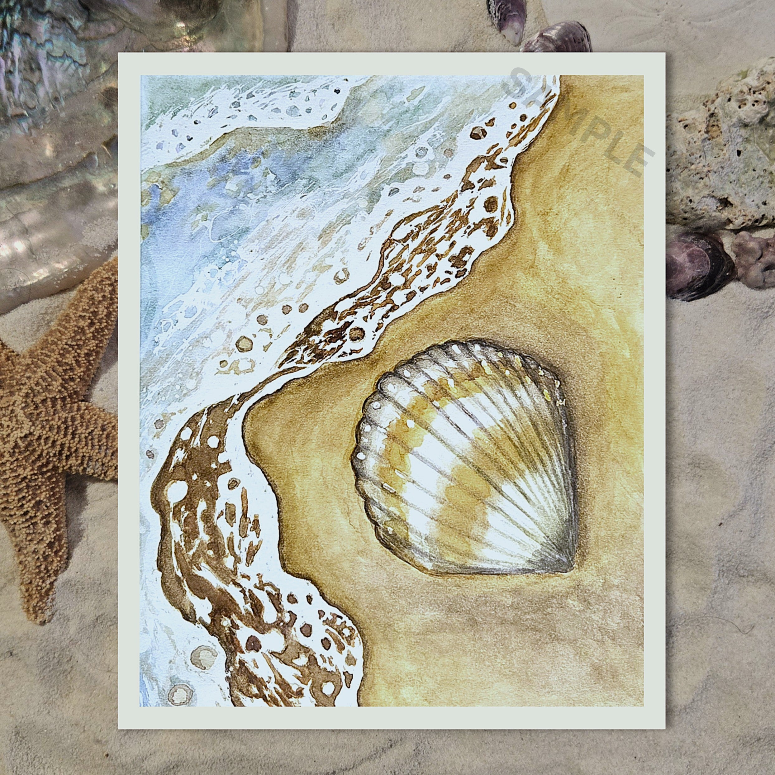 Seashell