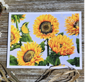Sunflowers