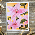 Tiger Lily