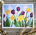 Tulips & Daffodils