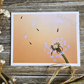Wish Flower